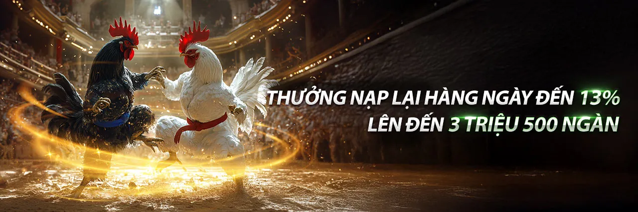 Các loại kèo cược đá gà phổ biến tại 99CEO